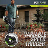 Greenworks PRO 80V Cordless Brushless String Trimmer + Blower Combo, 2Ah Battery Included STBA80L210