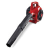 Craftsman B215 25cc 2-Cycle Handheld Gas-Powered Leaf Blower