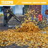 TECCPO 20V 310CFM Lightweight Cordless Leaf Blower With Variable Speed Control, 2.0 AH Lithium Battery Included - TDAB02G